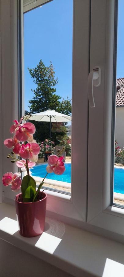 Apartment Capital Trogir